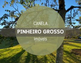 Pinheiro Grosso - imóveis à venda