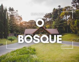 Um bosque em Gramado