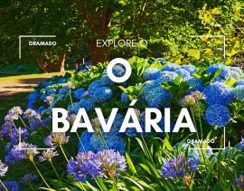 Um jardim em Gramado